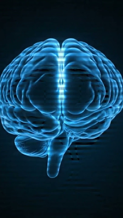 'The Hidden Brain Wash That Happens While You Sleep' 🧠✨