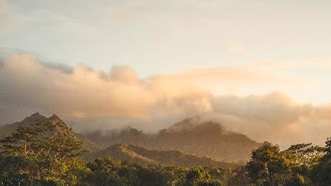 الشيخ أسامه الهواري تلاوة من سورة هود