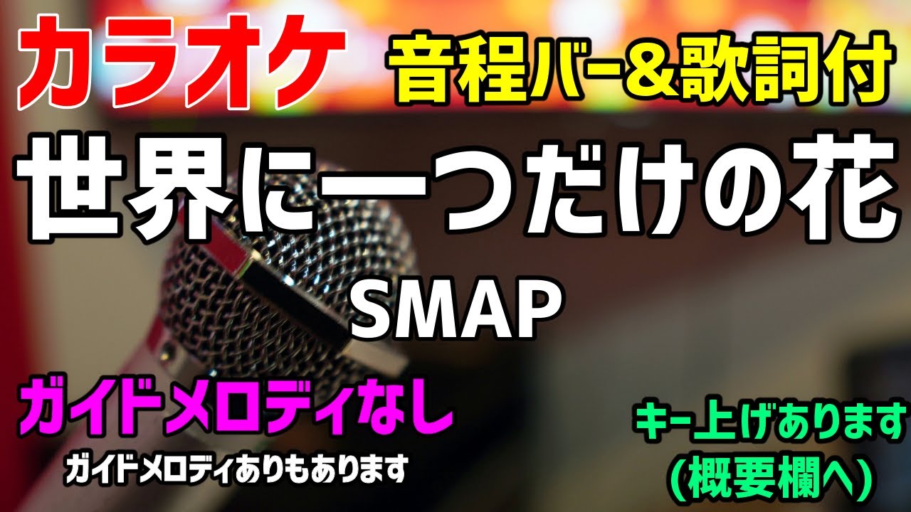 【カラオケ】世界に一つだけの花 / SMAP【歌詞・音程バー付】ガイドメロディなし