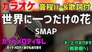 【カラオケ】世界に一つだけの花 / SMAP【歌詞・音程バー付】ガイドメロディなし