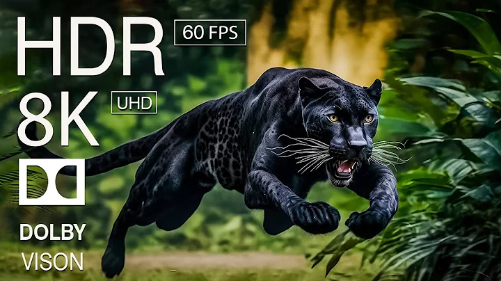 HUNTER ANIMALS - 8K (60FPS) ULTRA HD - With Nature Sounds (Colorfully Dynamic)