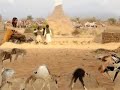 الإمبراطور محمد البدري