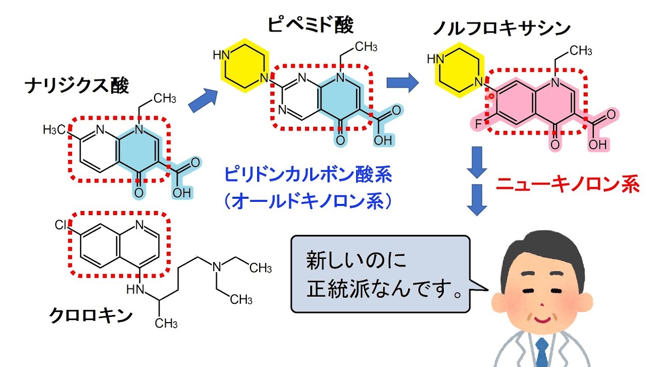 ノルフロキサシン胚芽医薬品のリーフレット