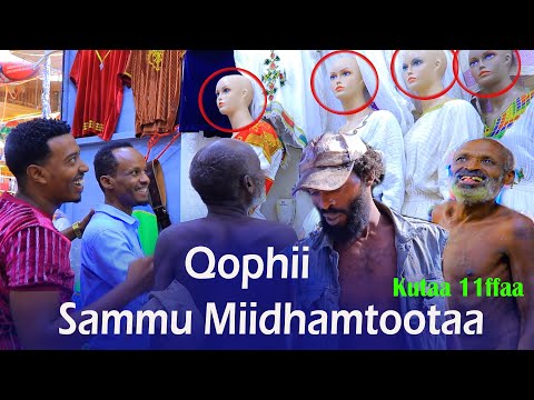 Qophii Sammu Miidhamtootaa Kutaa 11ffaa Oolamaya Guyyaa 1kkoo Wajji Dabarsine Daawwadha