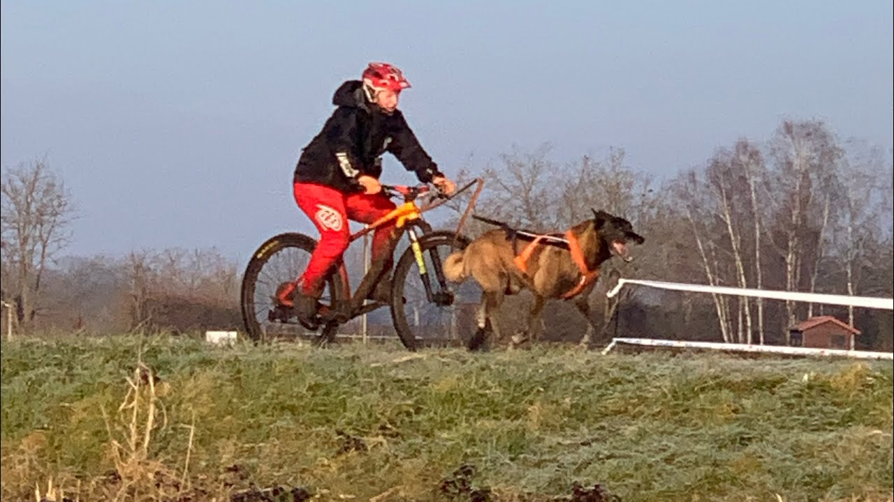 Dirty dog race 2025 / course complète samedi