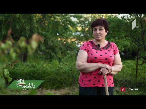 #გაიგემეტი ორი ფერმერის მაგალითზე - როგორ ავიღოთ შეღავათიანი აგროკრედიტი