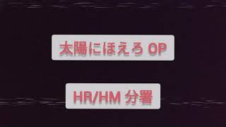 太陽にほえろ OP: HR/HM分署