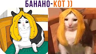 БАНАНО-КОТ ))) Приколы с котами | Мемозг 1016