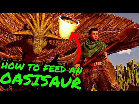 How To FEED