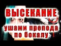 ВЫСЕКАНИЕ !!! ушами препода по бокалу !