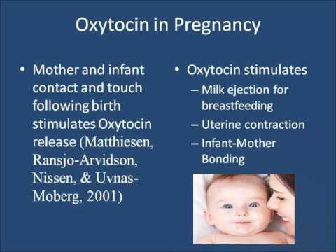 can oxytocin terminate early pregnancy