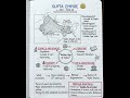 The Gupta Empire (c. 320–550 CE) #shorts