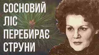 Сосновий ліс перебирає струни #ЛінаКостенко #LinaKostenko #Lina #Kostenko #Ліна #Костенко