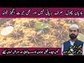 What diseases is the use of star anise useful for? Star Anise|#youtube#BadianKhitai #StarAnise