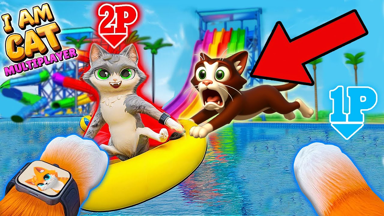 I Am Cat MULTIPLAYER ¿Puede ir MELTON  a la PISCINA?