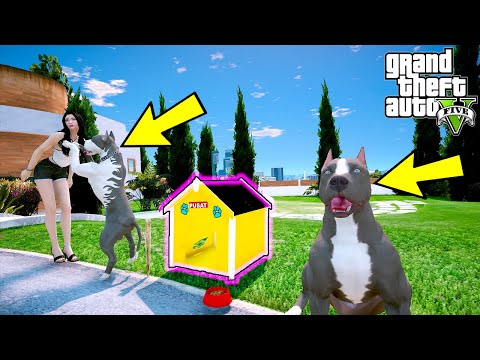 ZENGİN KADIN KAOS'A PAHALI SÜPER EV ALIYOR!(KARDEŞİ KISKANIYOR) - GTA 5