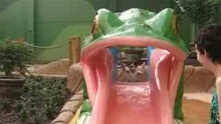 Frog Slide