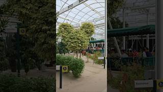 Epcot at Disney World - Living with the Land - Full Ride