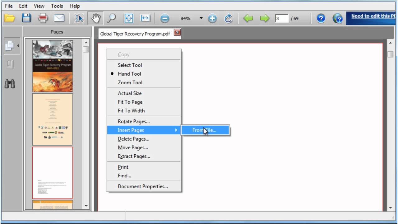 insert pdf into word document as imae