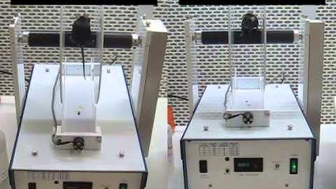 Rotarod assay for motor function activity of wild type and eIF2B mutant mice