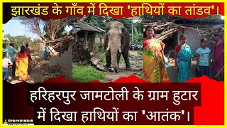 झारखंड के गाँव में दिखा हाथियों का तांडव। epaperindia  news viralvideo viral  viralnews