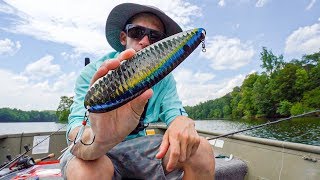 Fishing With A GIANT Piece Of Metal...You Have To Try This