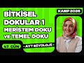 47) Bitkisel Dokular 1 | Bitki Biyolojisi | 12. Sınıf Biyoloji | AYT Biyoloji Kampı 47. Video