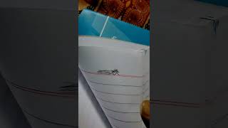 flipbook fight 🤜🤛 #flipbook #remix #flip #art #funk #music #shorts
