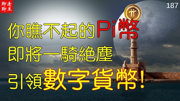 Pi network 你瞧不起的Pi幣即將一騎絕塵引領數字貨幣!丨比特幣 以太坊 派幣 恆星幣 狗幣 挖礦 手機挖礦 pi coin mining 特斯拉 馬斯克 比特幣 musk