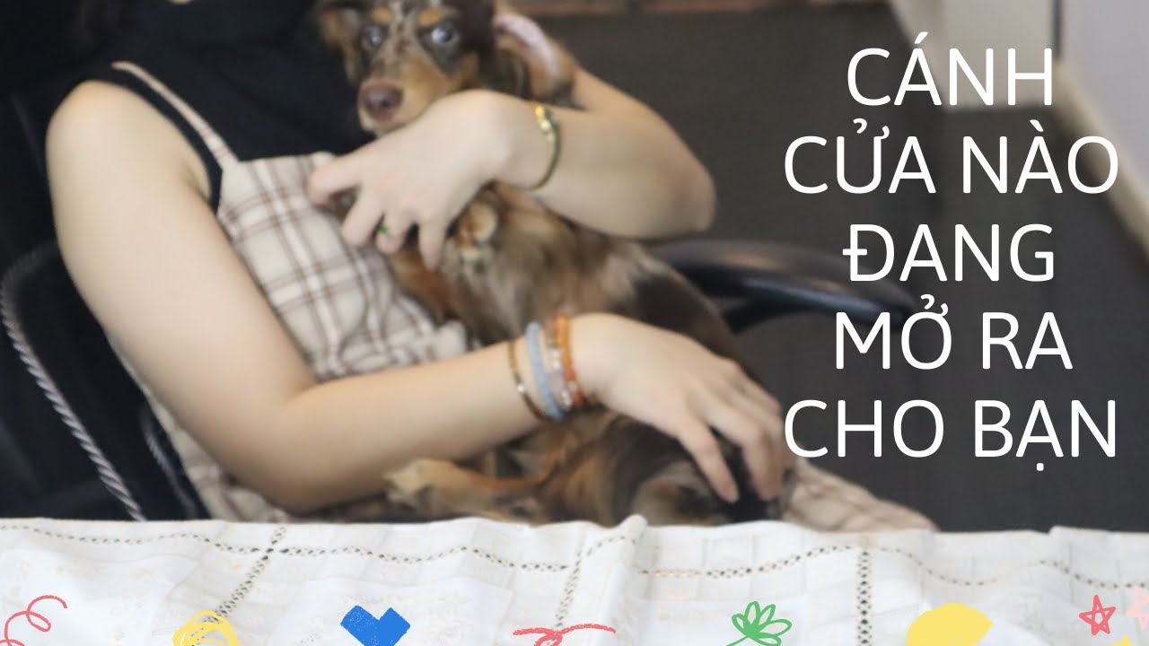 Cánh cửa nào đang mở ra cho bạn ? - Timeless