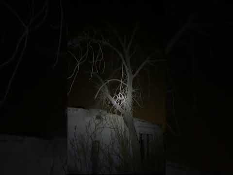 غيلان في قرية مهجورة قديمة تشتعل فيها النار ليلا المغامر عبدالله العنبري