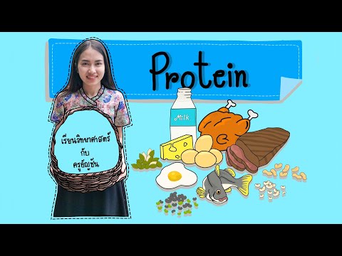 สารอาหารประเภทโปรตีน | Science by KruAunchan