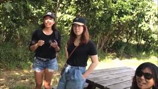 JIMBOS JAPANESE
