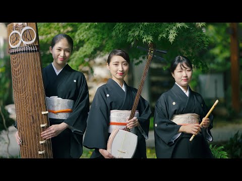 和楽器のプロが弾いてみた 風の通り道 アシタカせっ記 久石譲The Legend Of Ashitaka Princess Mononoke となりのトトロ もののけ姫より 