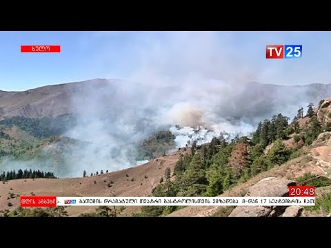 ვითარება სტიქიის ზონაში - ზურაბ პატარაძე