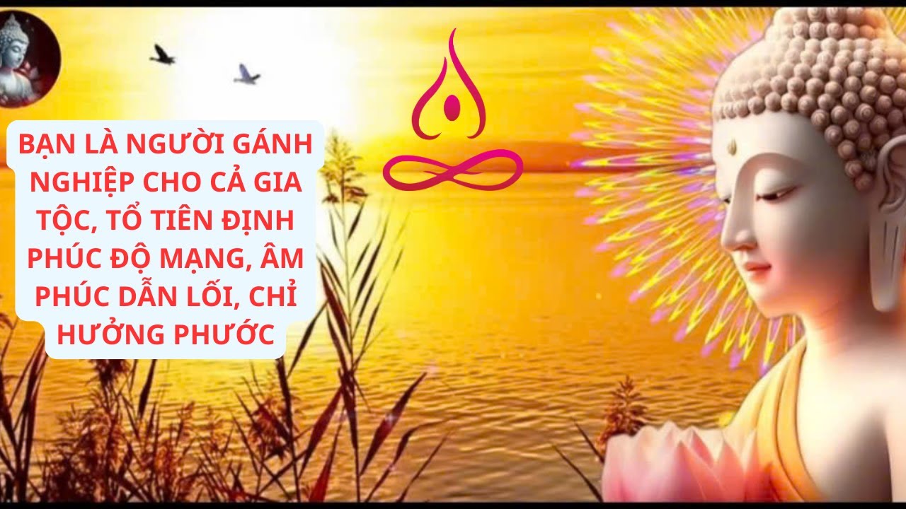 Bạn Là Người Gánh Nghiệp Cho Cả Gia Tộc – Âm Phúc Dẫn Lối, Chỉ Hưởng Phước#thichminhtue #lờiphậtdạy