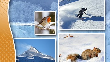 Part 5 of 6: How to Use Layers to Create a Collage