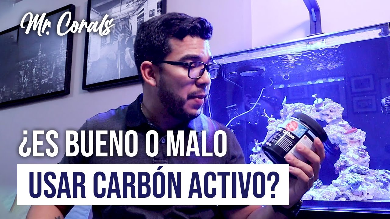 Como hacer el carbon activado