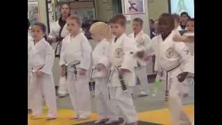 Tiny Tiger Belt Test October 2015