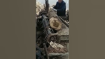 Smart Worker Technique for Peeling Tree Bark Instantly Using Modern Tools and Machines #Shorts