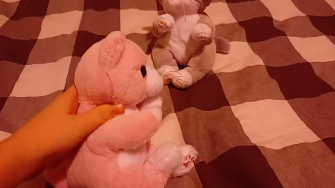 🎵🎶 Kociaki-Cała ekipa Kociaki , Kodix , Arbuzik , Phonix_Fox 🐱🐱🐱🐈🐈🐈 ( Cała piosenka już za 1dzień )