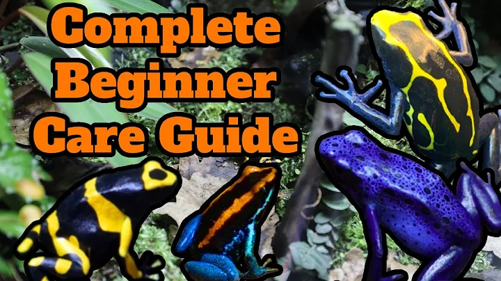 [Check Pinned Comment] IN-DEPTH Poison Dart Frog Care Guide - Everything You Need To Know