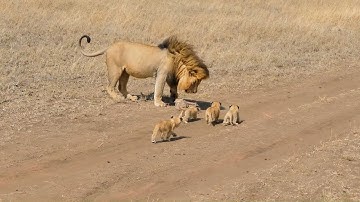 ABE LIBAX AH OO 4 CARUURA UU DHALAY TABABARAAYO