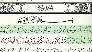 سورة نوح الشيخ هاني الرفاعي