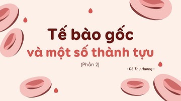 Bài 2. Tế bào gốc và một số thành tựu (P2) - Chuyên đề học tập - Sinh học 10 - Kết nối... - OLM.VN