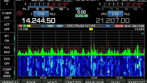 CQ WorldWide DX Contest SSB 2020