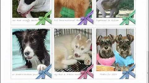 How To Find Niche Forums