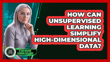 How Can Unsupervised Learning Simplify High-Dimensional Data?