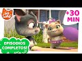 44 Gatos | Latinoamérica | ¡30 MINUTOS de episodios completos!