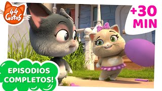 44 Gatos | Latinoamérica | ¡30 MINUTOS de episodios completos